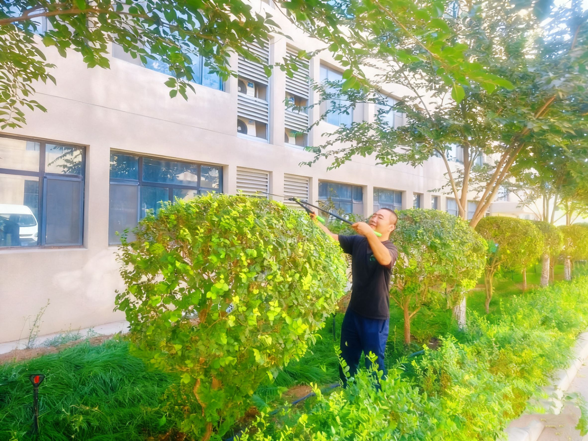 261758855536115689.jpeg PHOTO_20250926_105739250.jpg